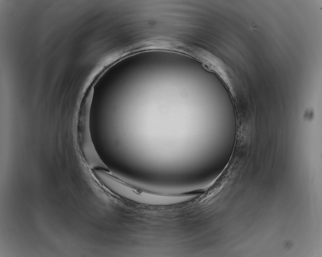X0000097991146200804021003
