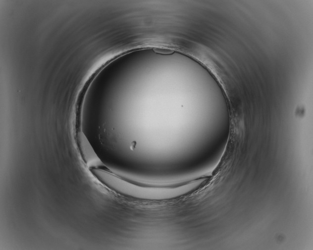 X0000097991147200804021003