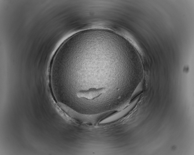 X0000097991148200804021003