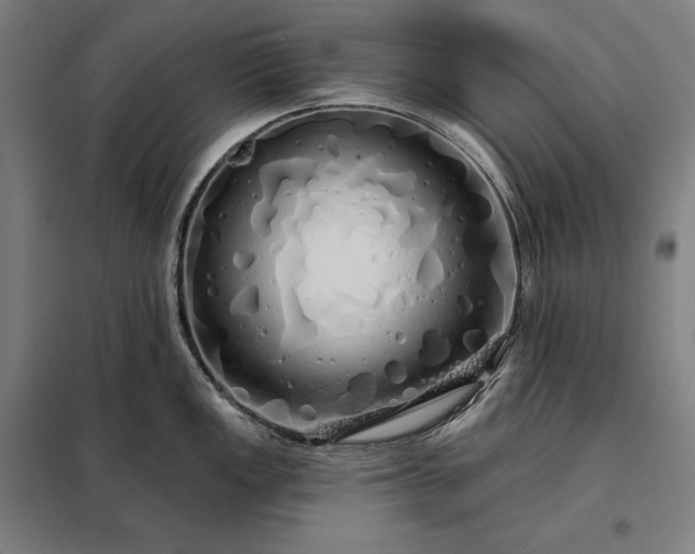 X0000097991149200804021003