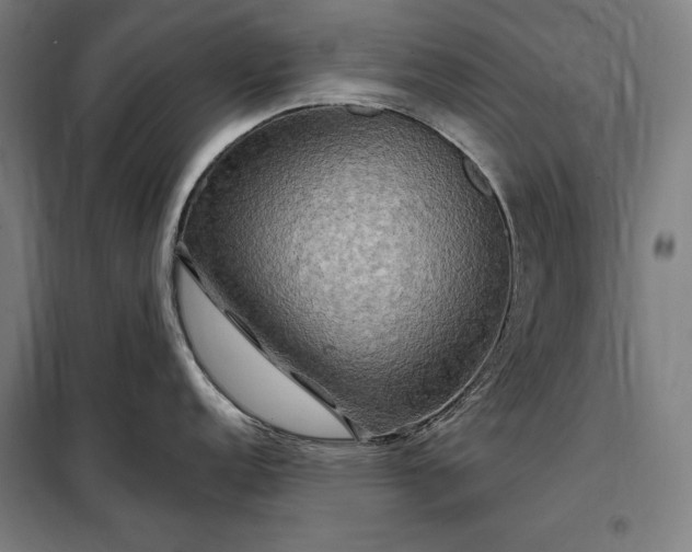 X0000097991152200804021003