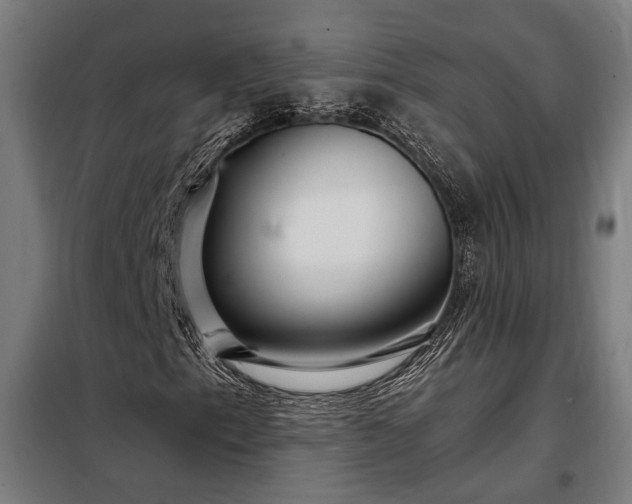 X0000097991153200804021002