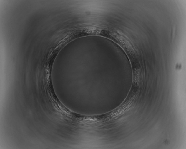 X0000097991154200804021002