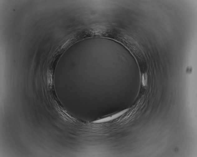 X0000097991155200804021002