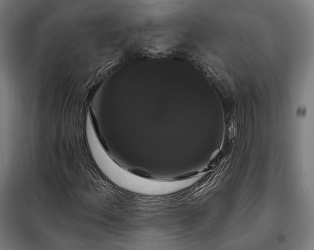 X0000097991156200804021002