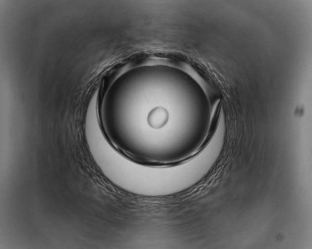 X0000097991157200804021002