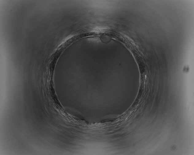 X0000097991158200804021002