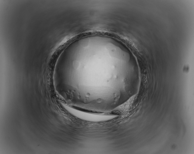 X0000097991159200804021002