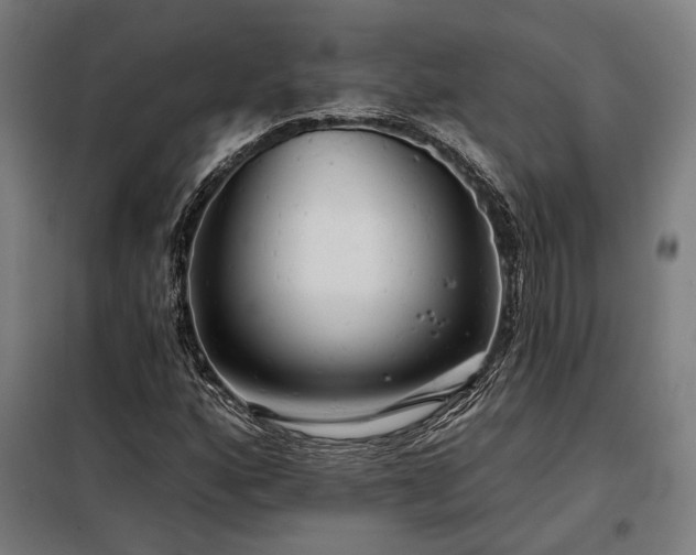 X0000097991160200804021002