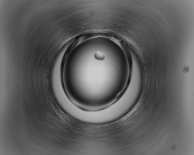 X0000097991161200804021002