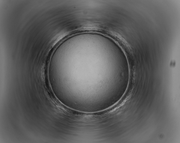 X0000097991162200804021002