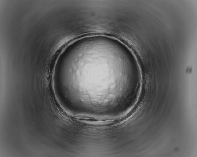 X0000097991163200804021002