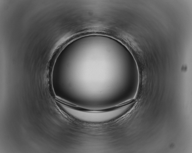 X0000097991164200804021002