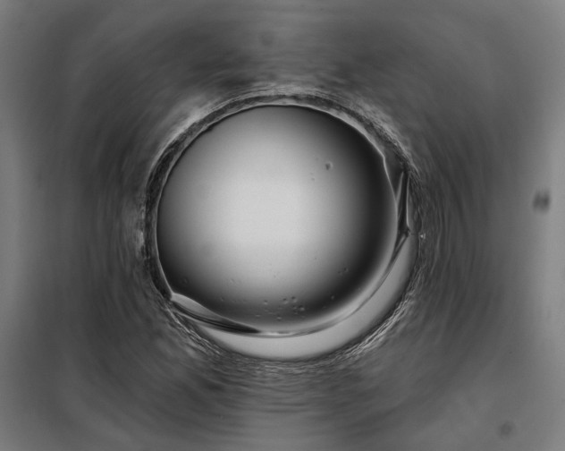 X0000097991165200804021002