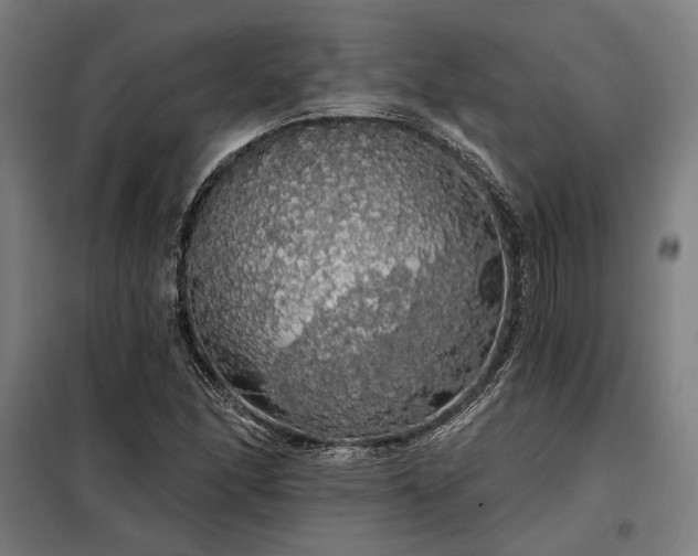 X0000097991166200804021002