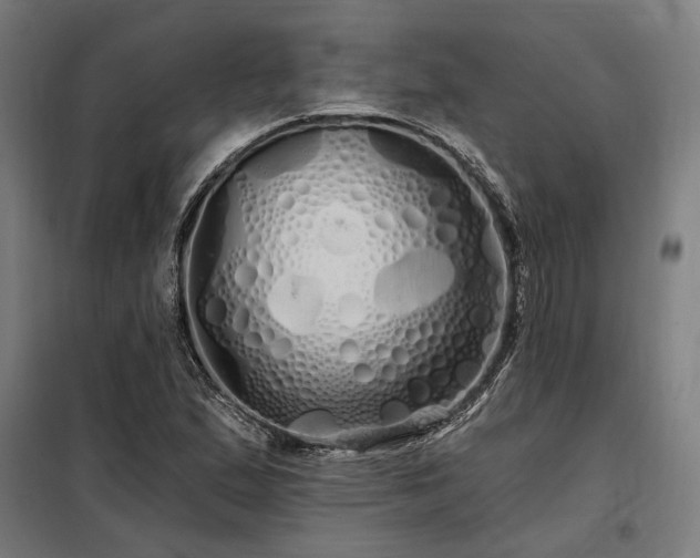 X0000097991167200804021002
