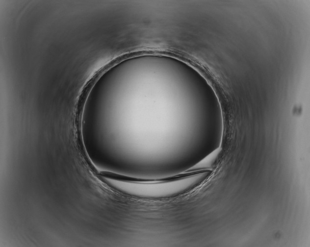 X0000097991168200804021002