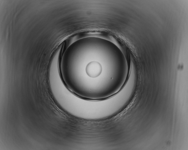X0000097991169200804021002