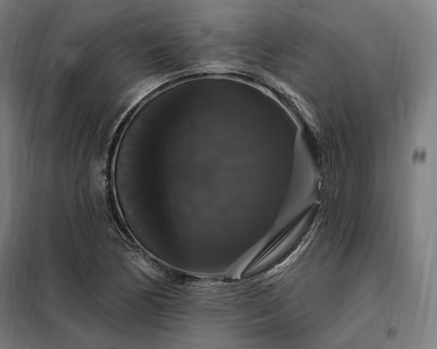 X0000097991170200804021002