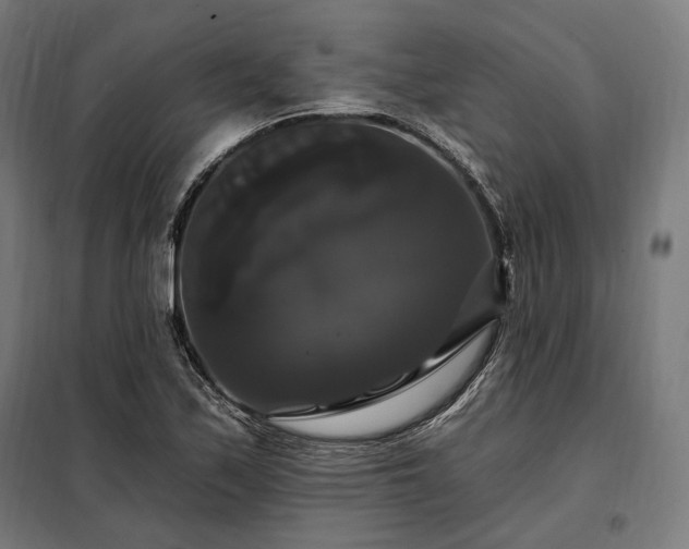 X0000097991171200804021002