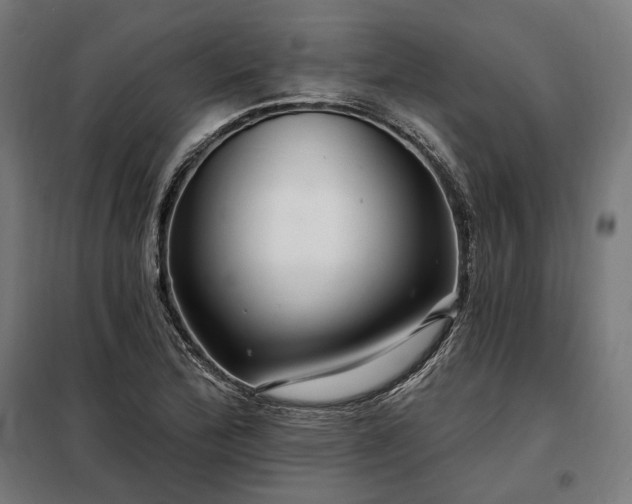 X0000097991172200804021002