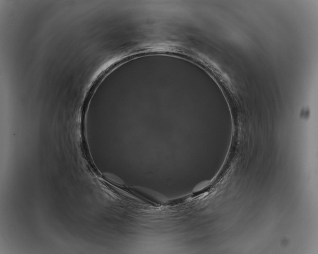 X0000097991174200804021002