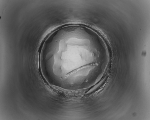 X0000097991175200804021002