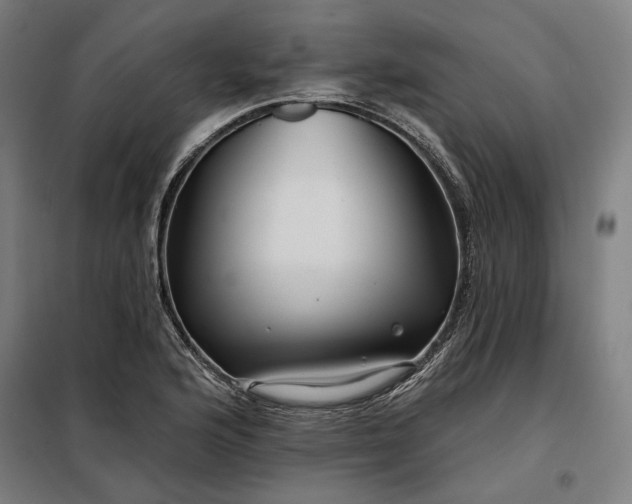 X0000097991176200804021002