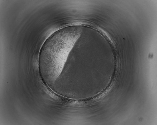 X0000097991178200804021002