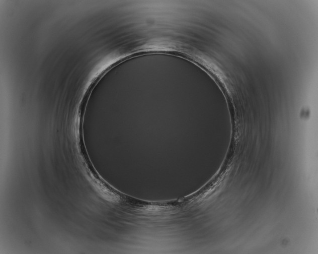 X0000097991179200804021002