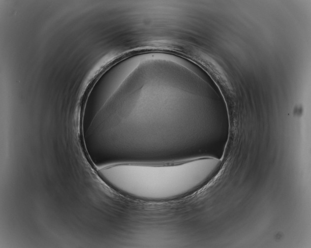X0000097991180200804021002