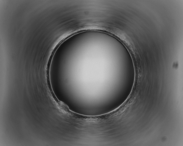 X0000097991181200804021002