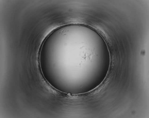 X0000097991182200804021002