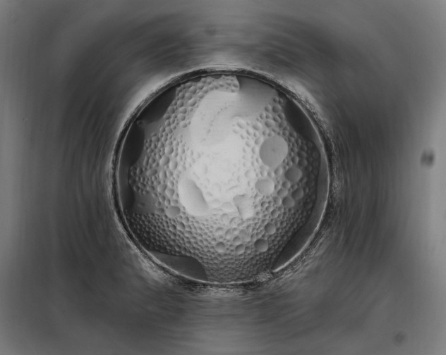 X0000097991183200804021002