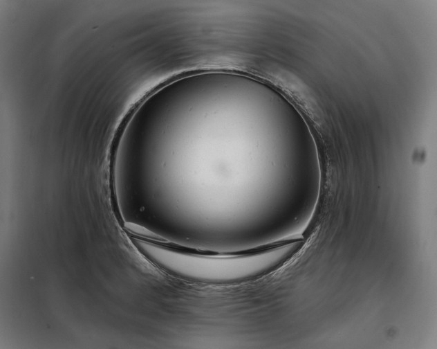 X0000097991184200804021002