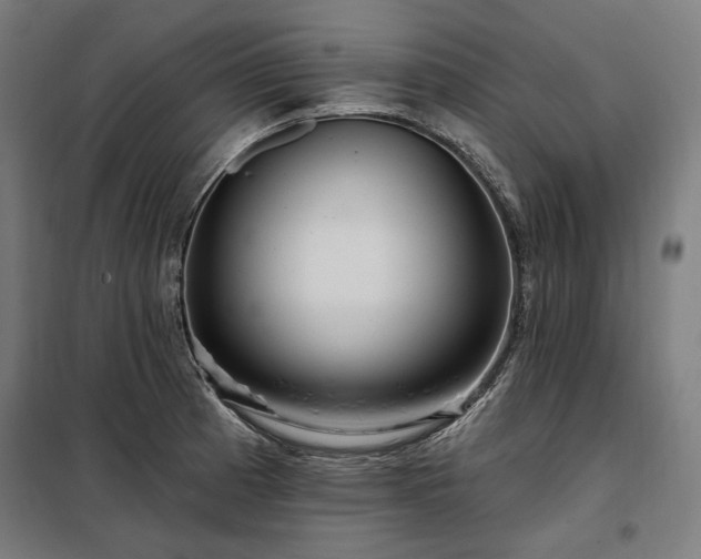 X0000097991185200804021001