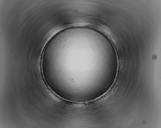 X0000097991186200804021001