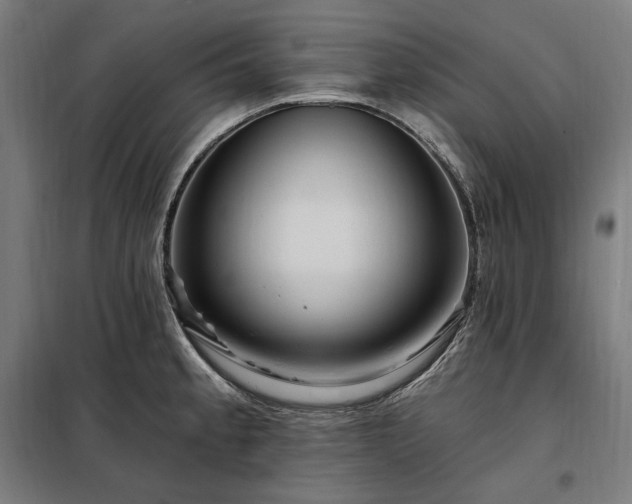 X0000097991189200804021001