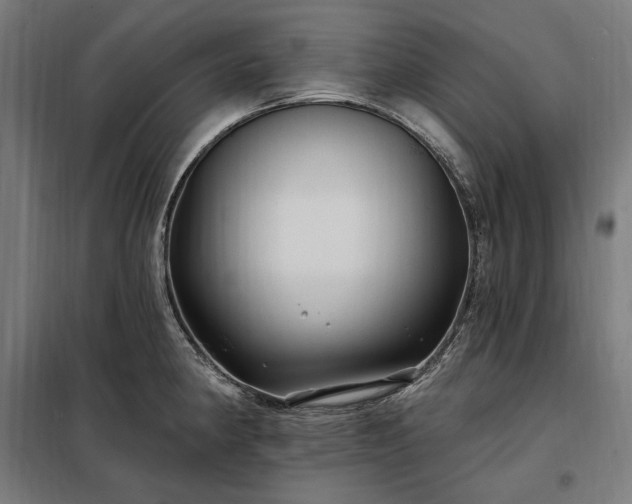 X0000097991190200804021001