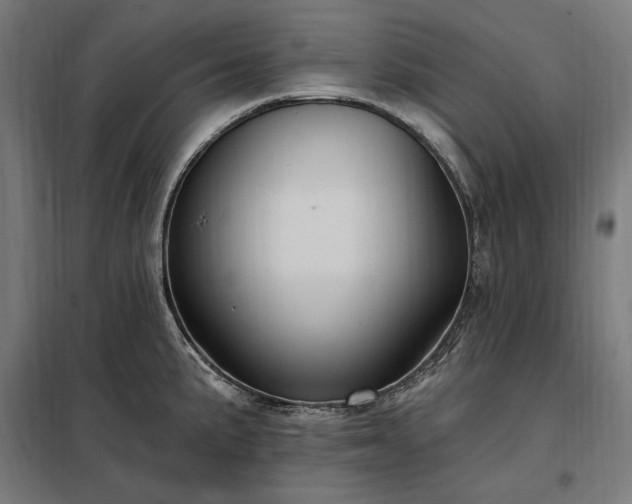 X0000097991191200804021001