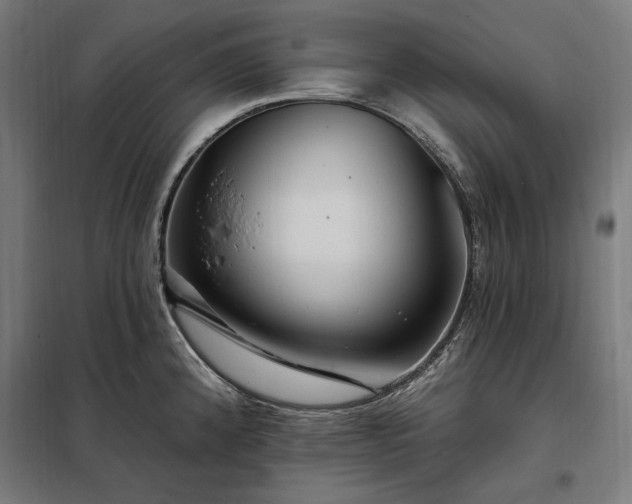 X0000097991192200804021001