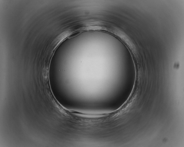 X0000097991193200804021001