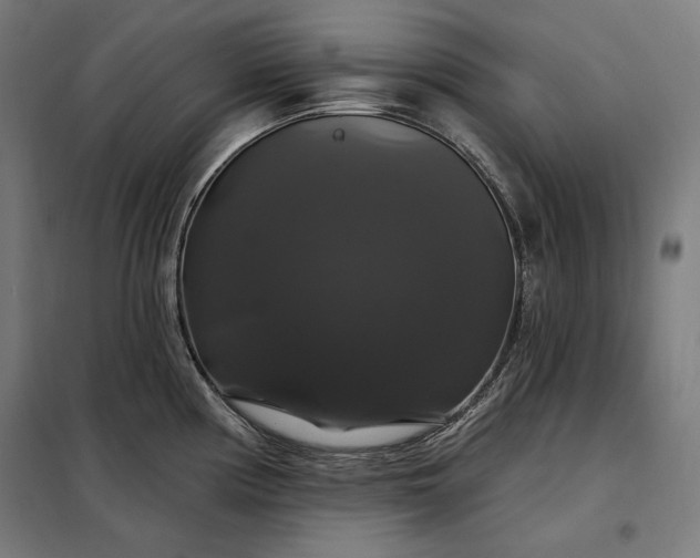 X0000097991194200804021001