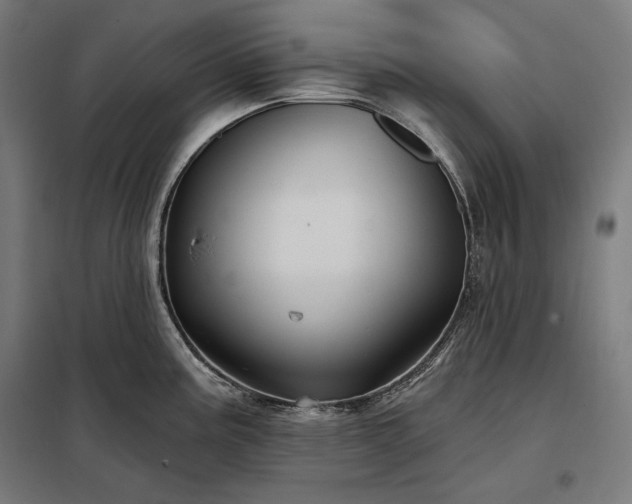 X0000097991195200804021001