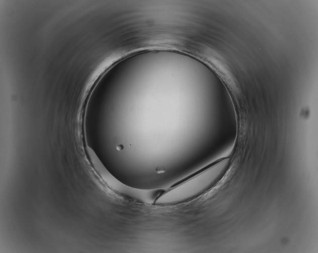 X0000097991196200804021001