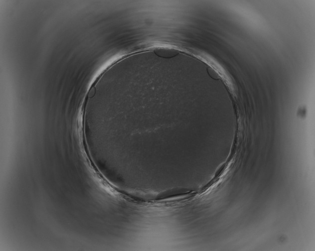 X0000097991198200804021001