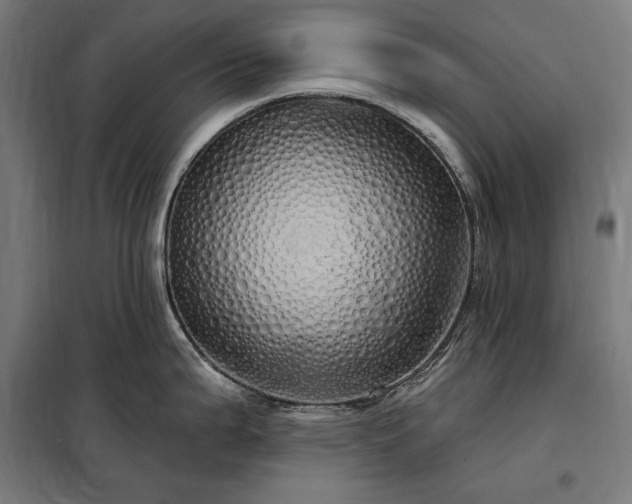 X0000097991199200804021001