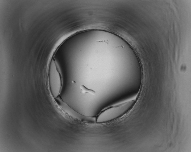 X0000097991200200804021001