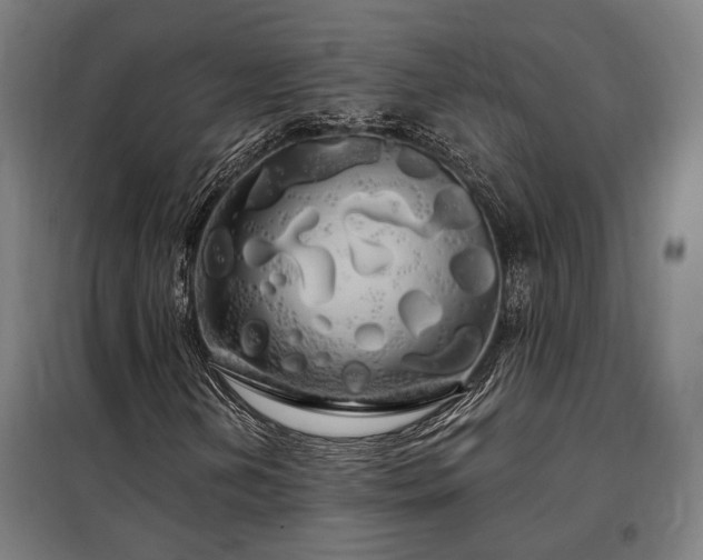 X0000097991202200804021001