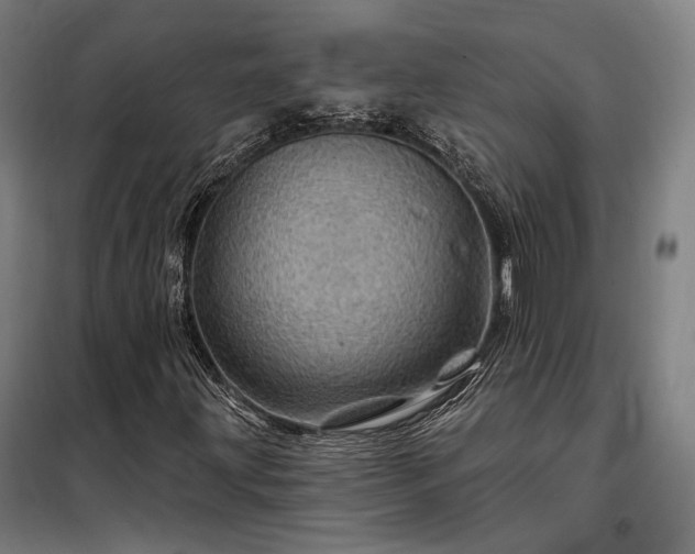X0000097991203200804021001
